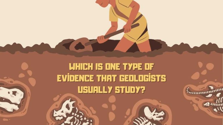 Which is one type of evidence that geologists usually study